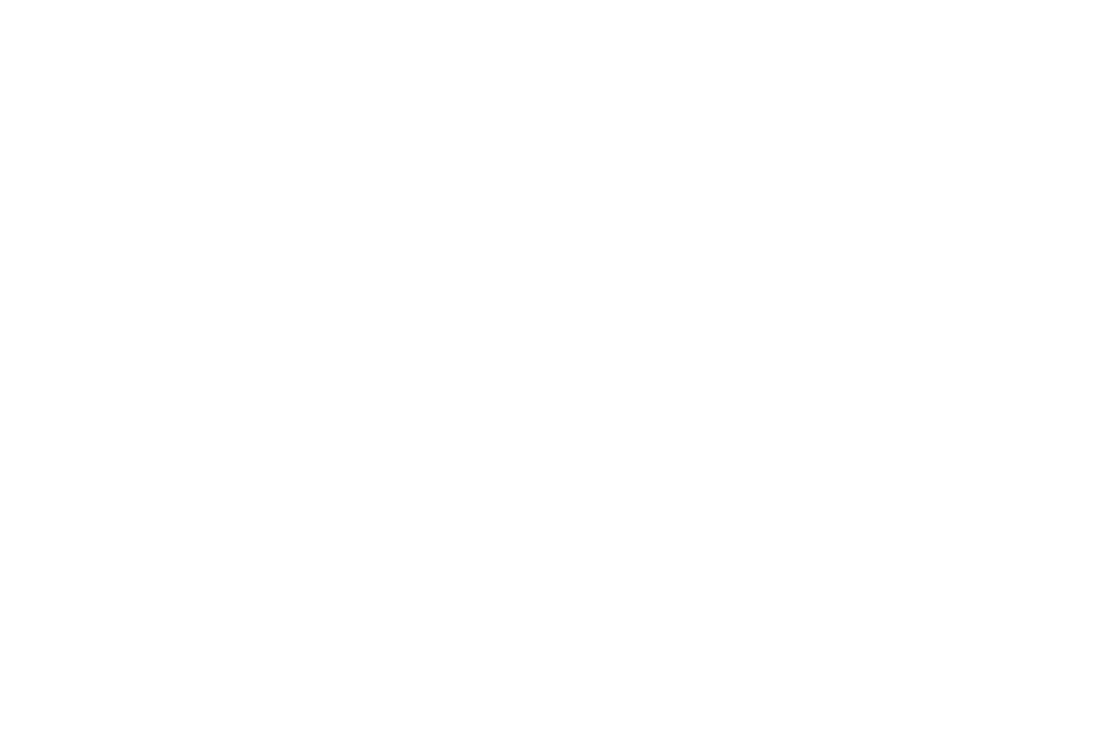 Iced Out Products